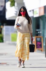 JORDANA BREWSTER Out and About in Brentwood 02/21/2021