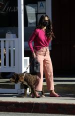 JORDANA BREWSTER Out on Valentine