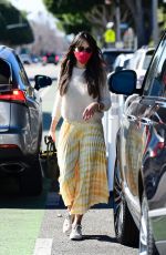 JORDANA BREWSTER Out with Her Dog in Brentwood 02/20/2021