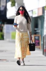 JORDANA BREWSTER Out with Her Dog in Brentwood 02/20/2021