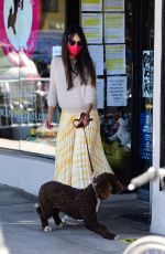 JORDANA BREWSTER Out with Her Dog in Brentwood 02/20/2021
