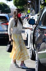 JORDANA BREWSTER Out with Her Dog in Brentwood 02/20/2021