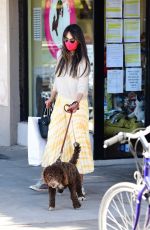 JORDANA BREWSTER Out with Her Dog in Brentwood 02/20/2021