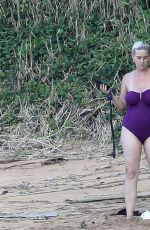 KATY PERRY in Swimsuit at a Beach in Hawaii 02/22/20212021