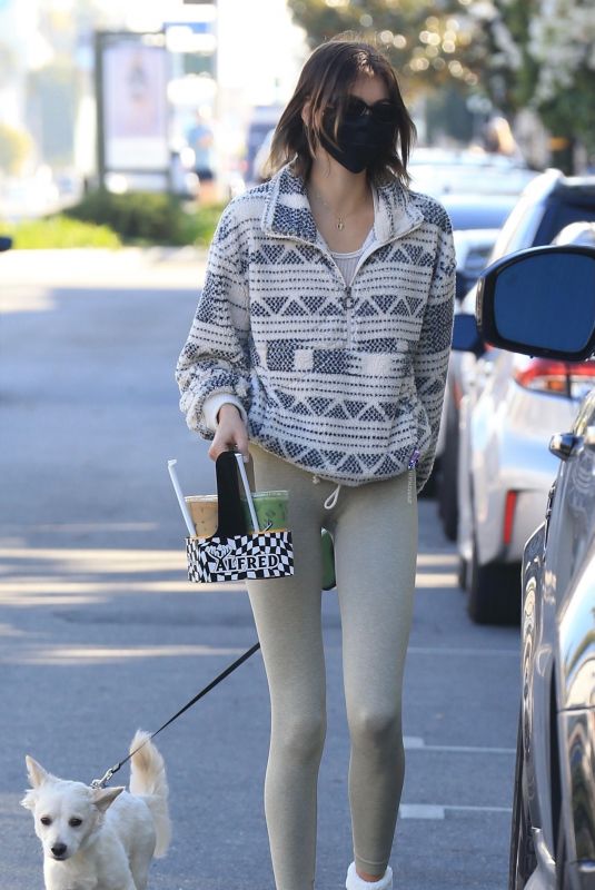kKAIA GERBER Out with Her Dog in West Hollywood 02/02/2021