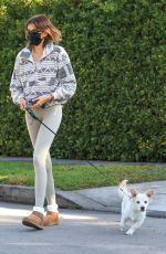 kKAIA GERBER Out with Her Dog in West Hollywood 02/02/2021