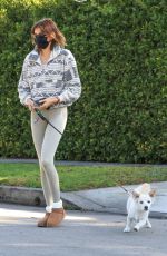 kKAIA GERBER Out with Her Dog in West Hollywood 02/02/2021