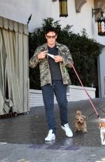 LADY VICTORIA HERVEY Out with Her Dog in Los Angeles 02/20/2021