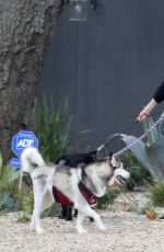 LAURA DERN Out with Her Dogs on Her Birthday in Los Angeles 02/10/2021