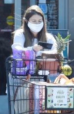 LAUREN PARSEKIAN Out Shopping in Los Feliz 02/24/2021
