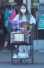 LAUREN PARSEKIAN Out Shopping in Los Feliz 02/24/2021