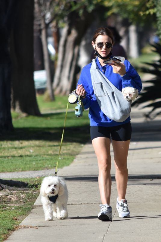 LUCY HALE Out with Her Dogs in Studio City 02/11/2021