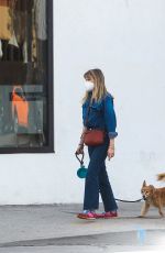 LUCY PUNCH Out with Her Dog in West Hollywood 02/14/2021