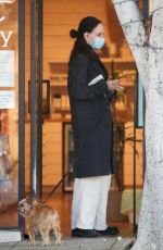 MADELEINE STOWE Out with Her Dog in Los Angeles 02/09/2021