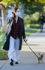 MADELEINE STOWE Out with Her Dog in Los Angeles 02/09/2021