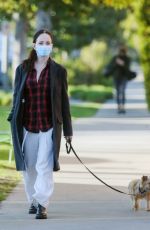 MADELEINE STOWE Out with Her Dog in Los Angeles 02/09/2021