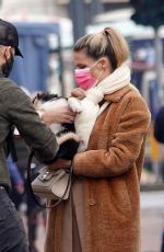 MICHELLE HUNZIKER Out with Her Dog in Milan 02/05/2021