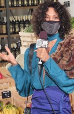 MJ RODRIGUEZ Buying Flowers in New York 02/14/2021
