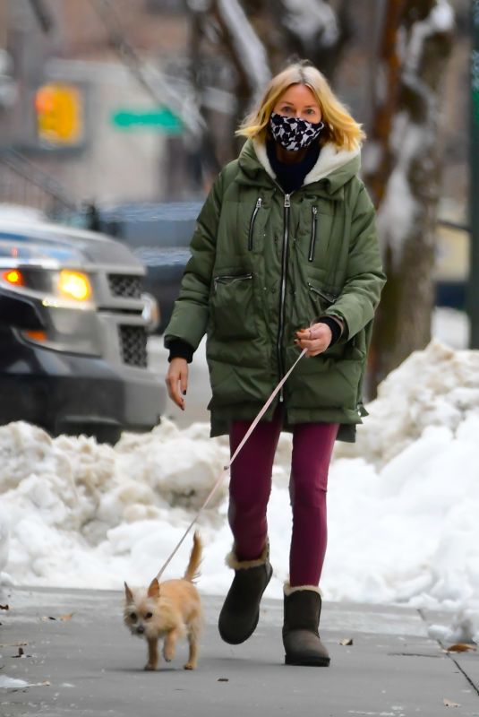 NAOMI WATTS Out with Her Dog in New York 02/04/2021