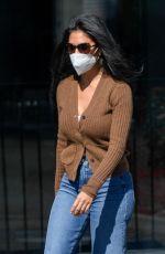 NICOLE SCHERZINGER and Tgom Evans Leaves Chin Chin in West Hollywood 02/19/2021