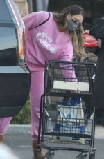 Pregnant APRIL LOVE GEARY Out Shopping in Malibu 02/09/2021
