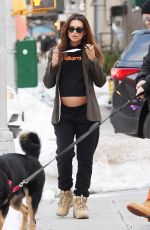 Pregnant EMILY RATAJKOWSKI Out in New York 02/06/2021