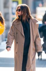Pregnant EMILY RATAJKOWSKI Out in New York 02/16/2021