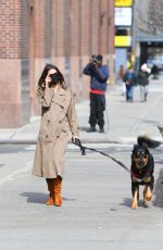 Pregnant EMILY RATAJKOWSKI Out with Her Dog in New York 02/26/2021