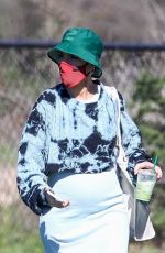 Pregnant HALSEY at a Picnic in Los Angeles 01/31/2021