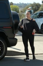 Pregnant HILARY DUFF Out at a Park in Los Angeles 02/20/2021
