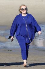 REBEL WILSON Out on the Beach in Santa Barbara 02/21/2021