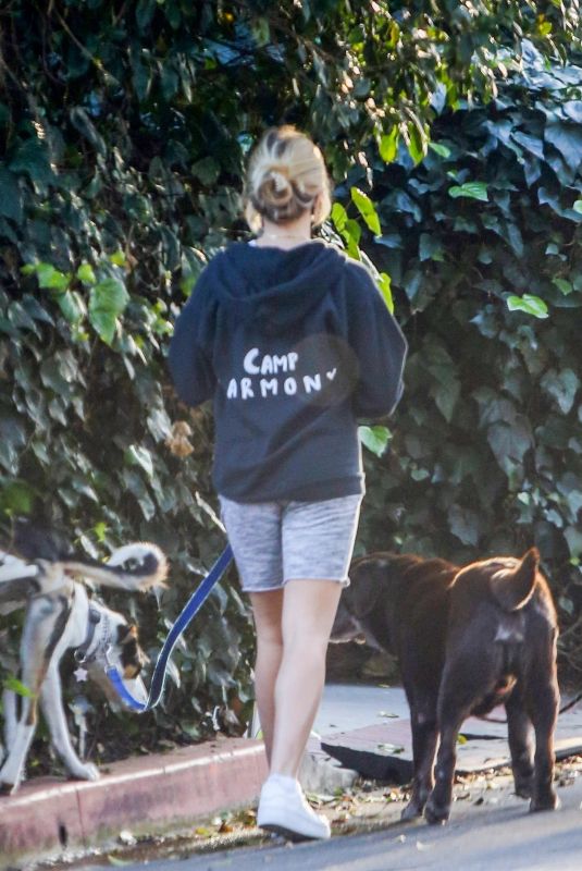 REESE WITHERSPOON and AVA PHILLIPPE Out with Their Dogs in Brentwood 02/19/2021