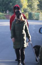 REESE WITHERSPOON and Jim Toth Out with Their Dogs in Brentwood 02/07/2021