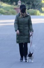 REESE WITHERSPOON and Jim Toth Out with Their Dogs in Brentwood 02/07/2021