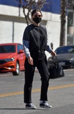 ROONEY MARA Out and About in Studio City 02/22/2021