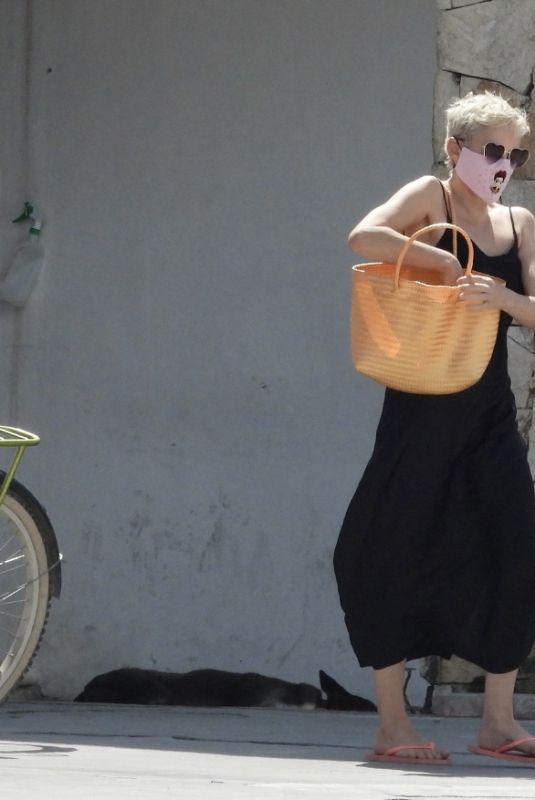 ROSE MCGOWAN Wearing a Face Mask Out in Tulum 02/25/2021