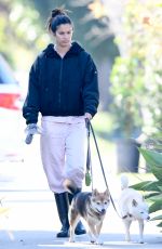 SARA SAMPAIO Out with Her Dogs in Los Angeles 02/18/2021