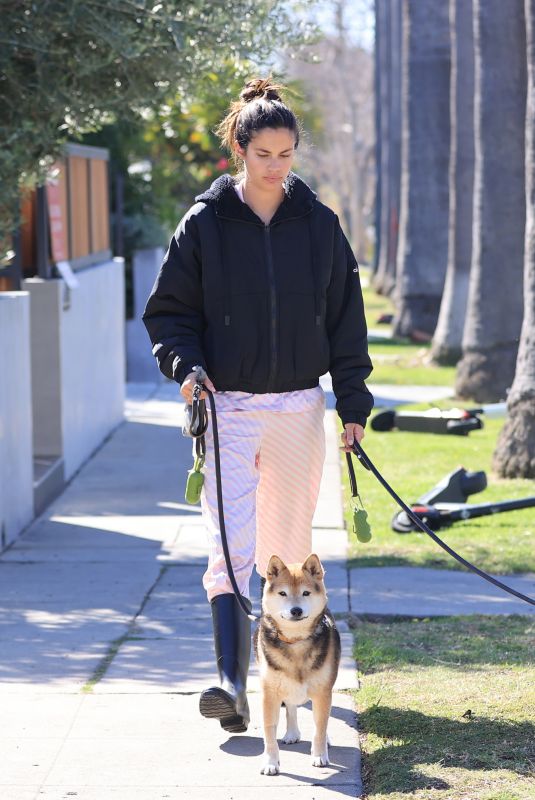 SARA SAMPAIO Out with Her Dogs in Los Angeles 02/18/2021
