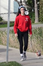 SCOUT WILLIS Out with Her Dog in Los Feliz 02/01/2021