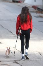 SCOUT WILLIS Out with Her Dog in Los Feliz 02/01/2021