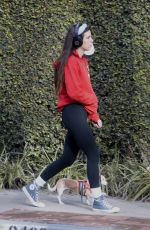 SCOUT WILLIS Out with Her Dog in Los Feliz 02/01/2021