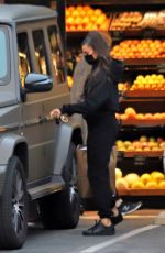 SHAY MITCHELL Out Shopping in Los Angeles 02/09/2021