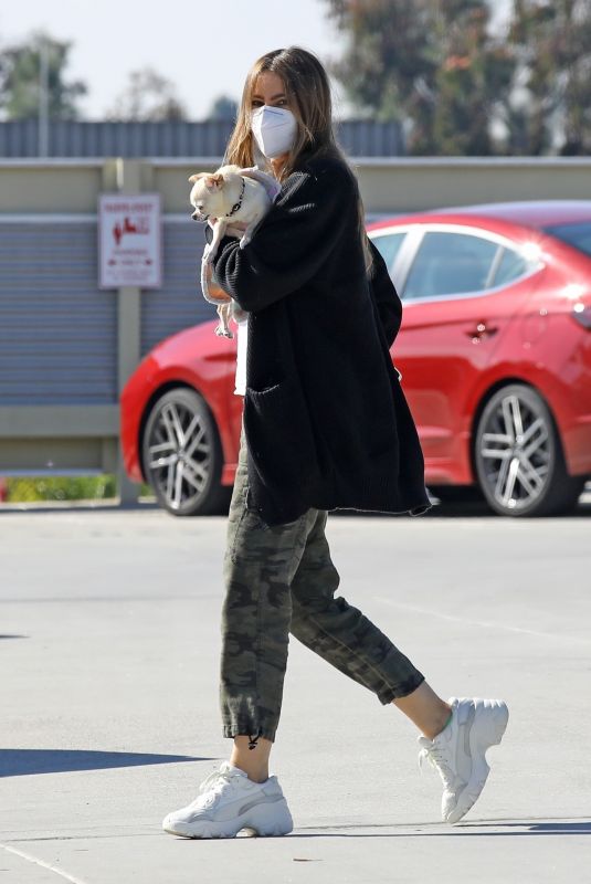 SOFIA VERGARA Takes Her Puppy to a Vet in Los Angeles 02/03/2021