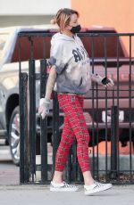 TINA LOUISE Painting a Fence Outside Her Restaurant in West Hollywood 02/01/2021