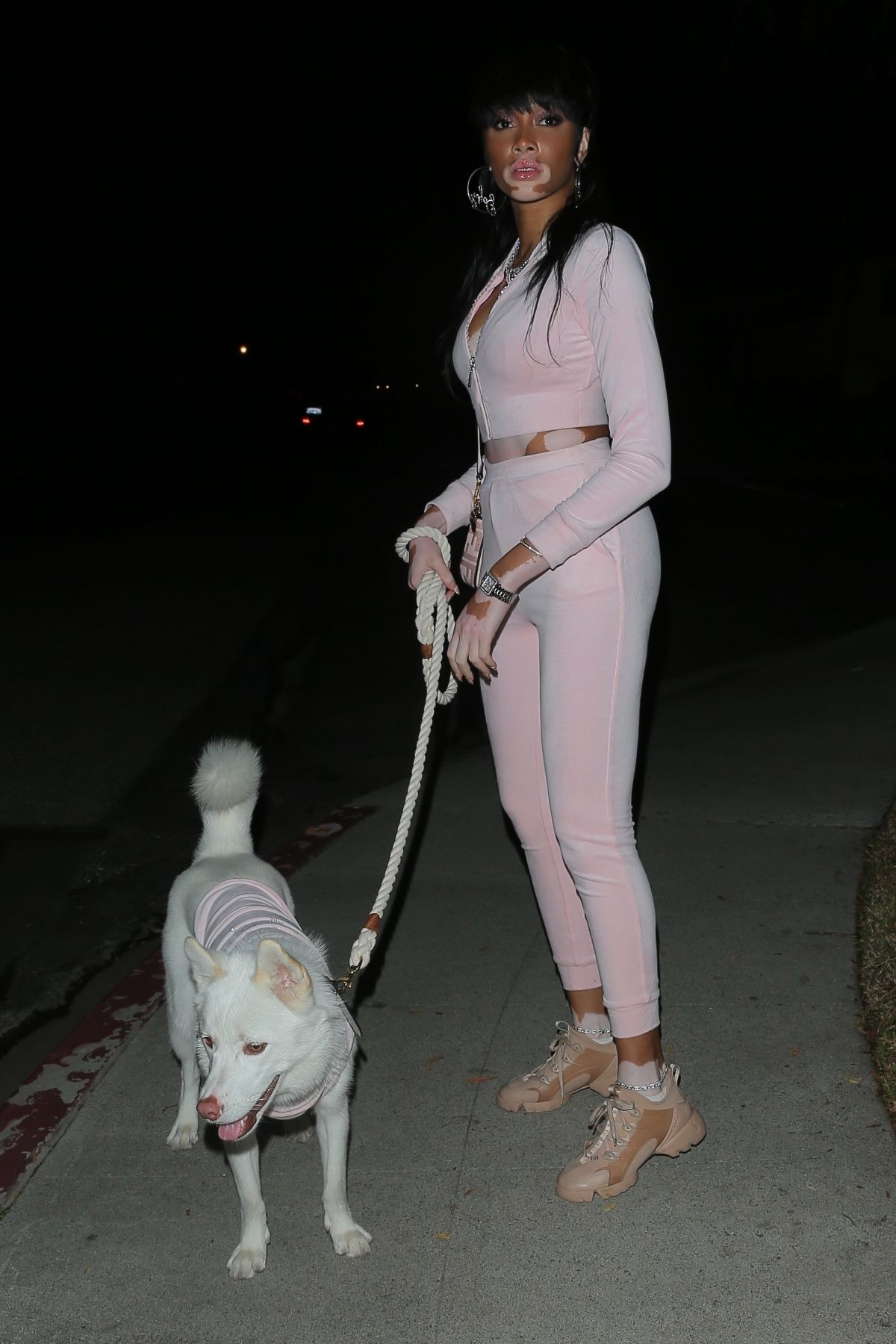 winnie-harlow-night-out-with-her-dog-in-los-angeles-02-01-2021-7.jpg