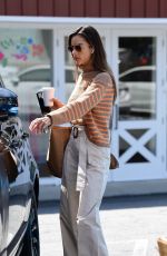 ALESSANDRA AMBROSIO Out for Coffee in Brentwood 03/17/2021