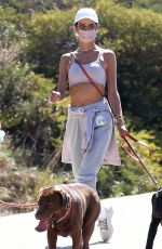 ALESSANDRA AMBROSIO Out Hiking in Los Angeles 03/04/2021