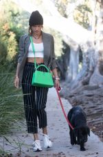 ALESSANDRA AMBRSIO Out with Her Dog in Santa Monica 03/24/2021