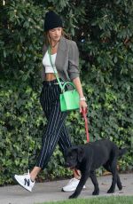 ALESSANDRA AMBRSIO Out with Her Dog in Santa Monica 03/24/2021