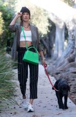 ALESSANDRA AMBRSIO Out with Her Dog in Santa Monica 03/24/2021
